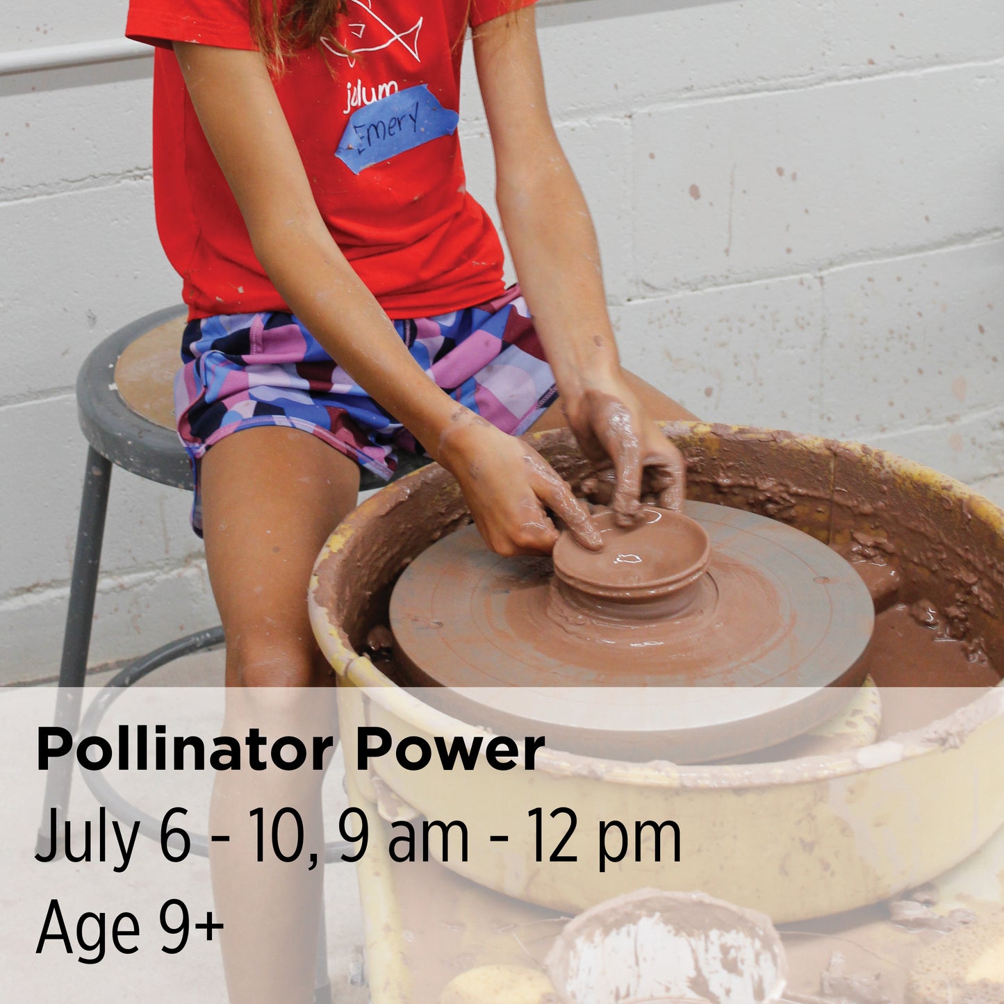 Pollinator Power, 26CC24