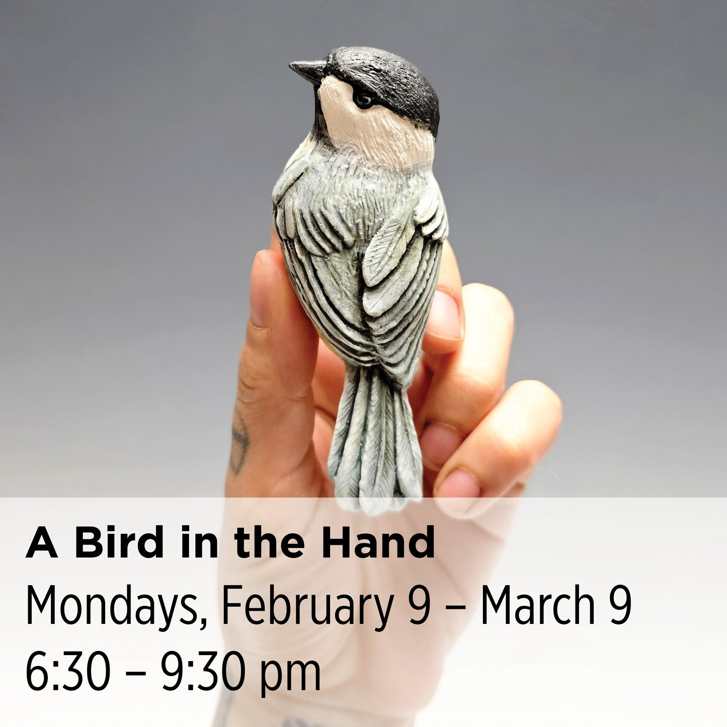 A Bird in the Hand, 26WT2