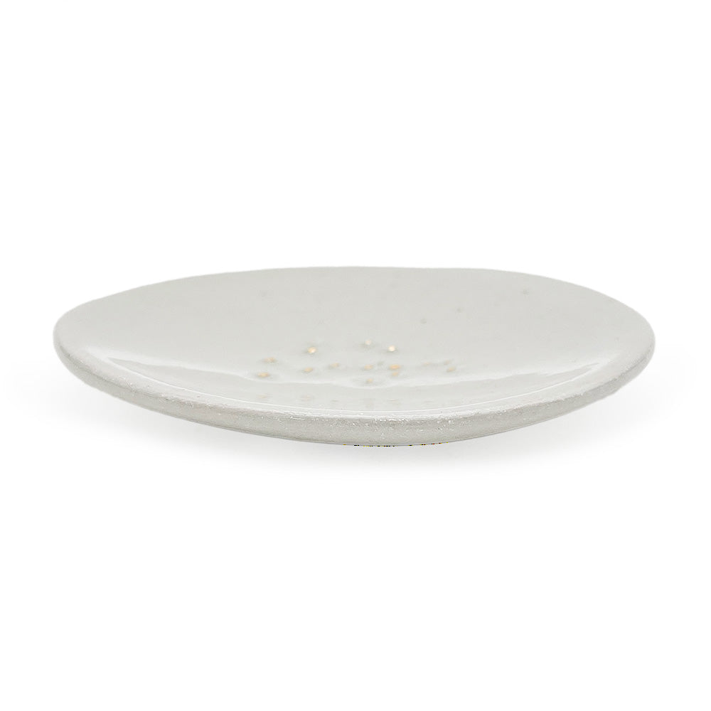 Dish