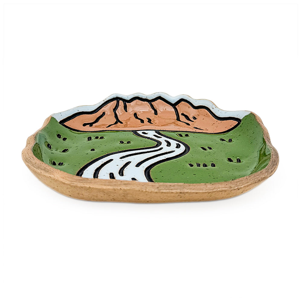 Dish