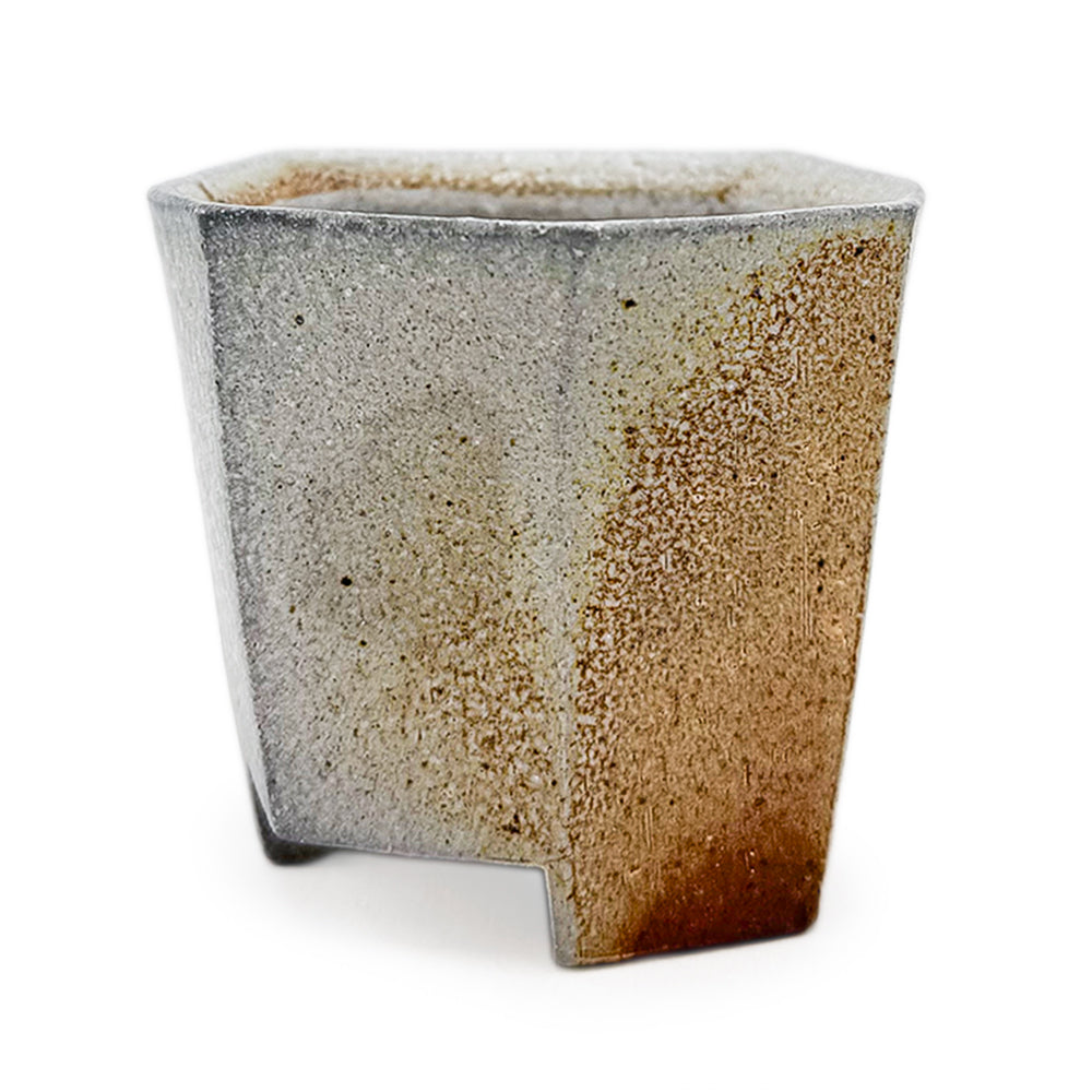 Cup, APF 2025