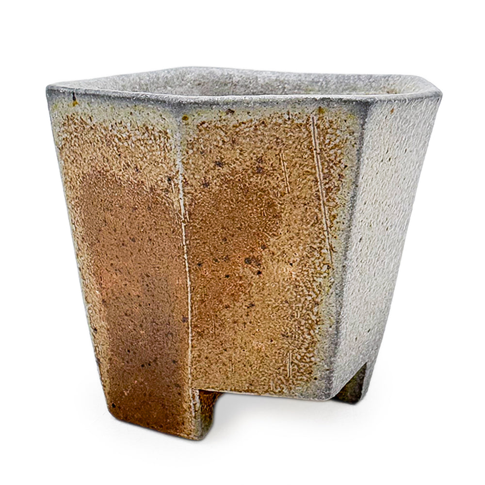 Cocktail Cup, APF 2025