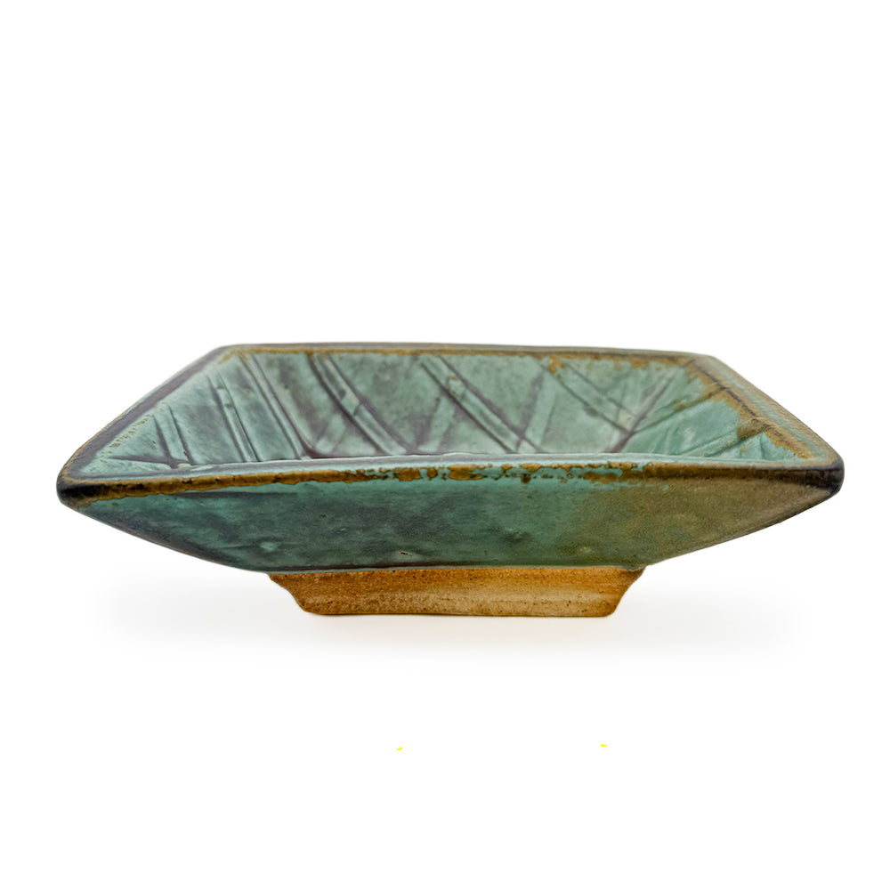Dish