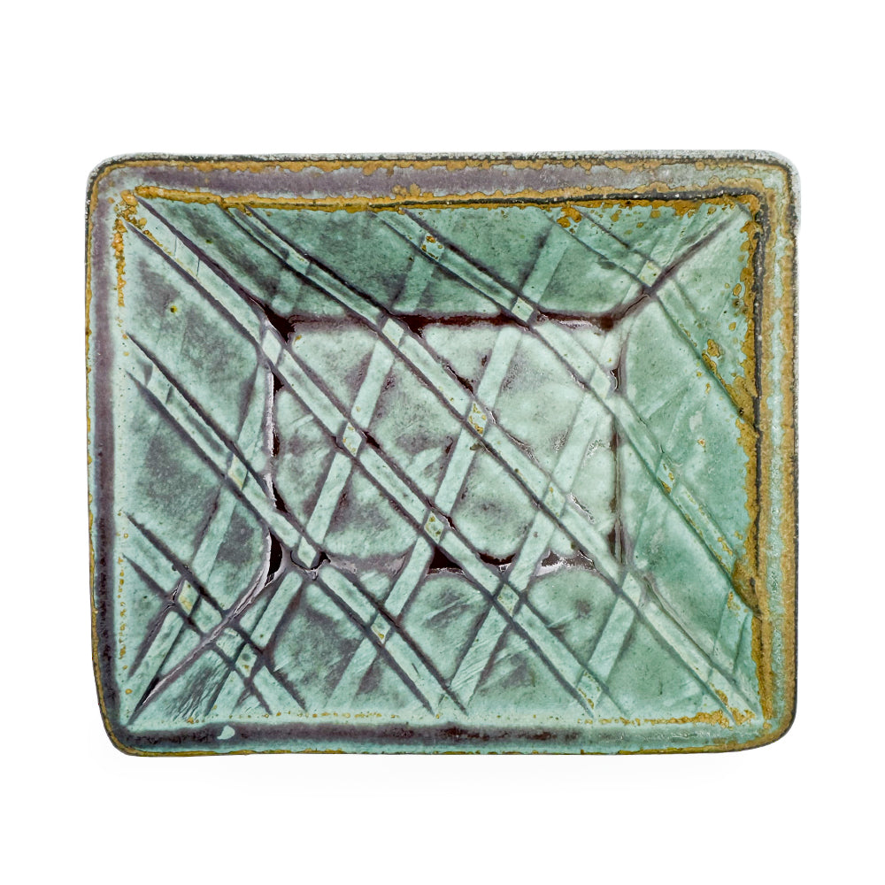 Dish