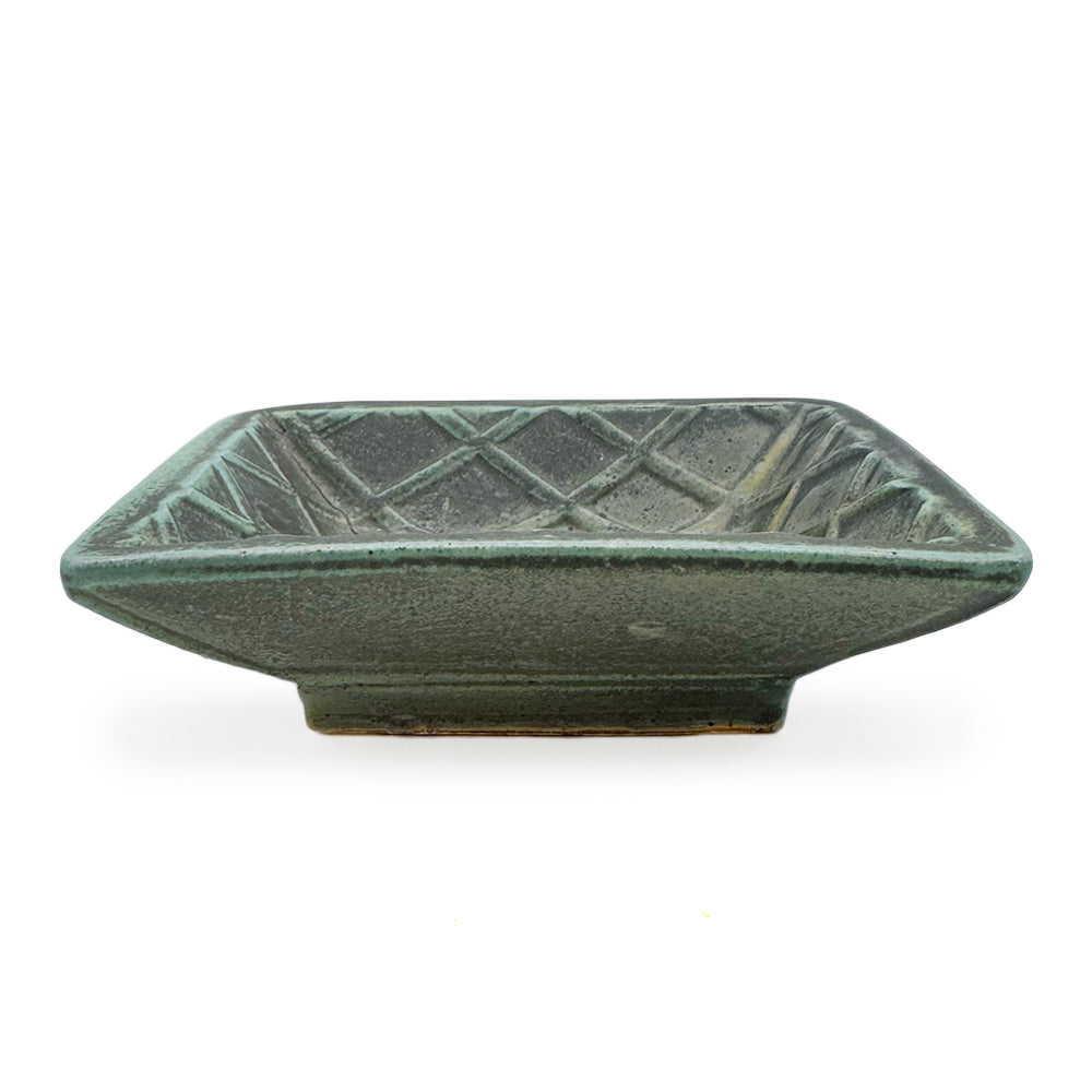 Dish