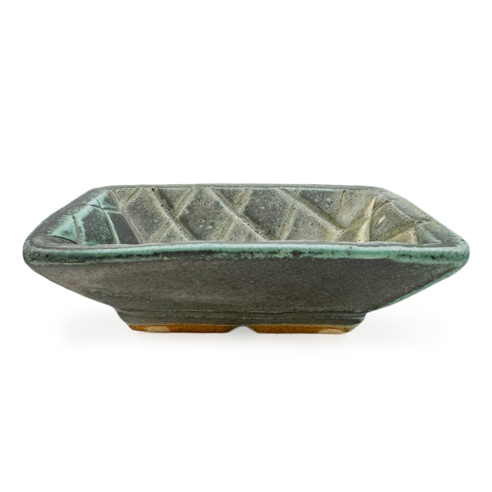 Dish