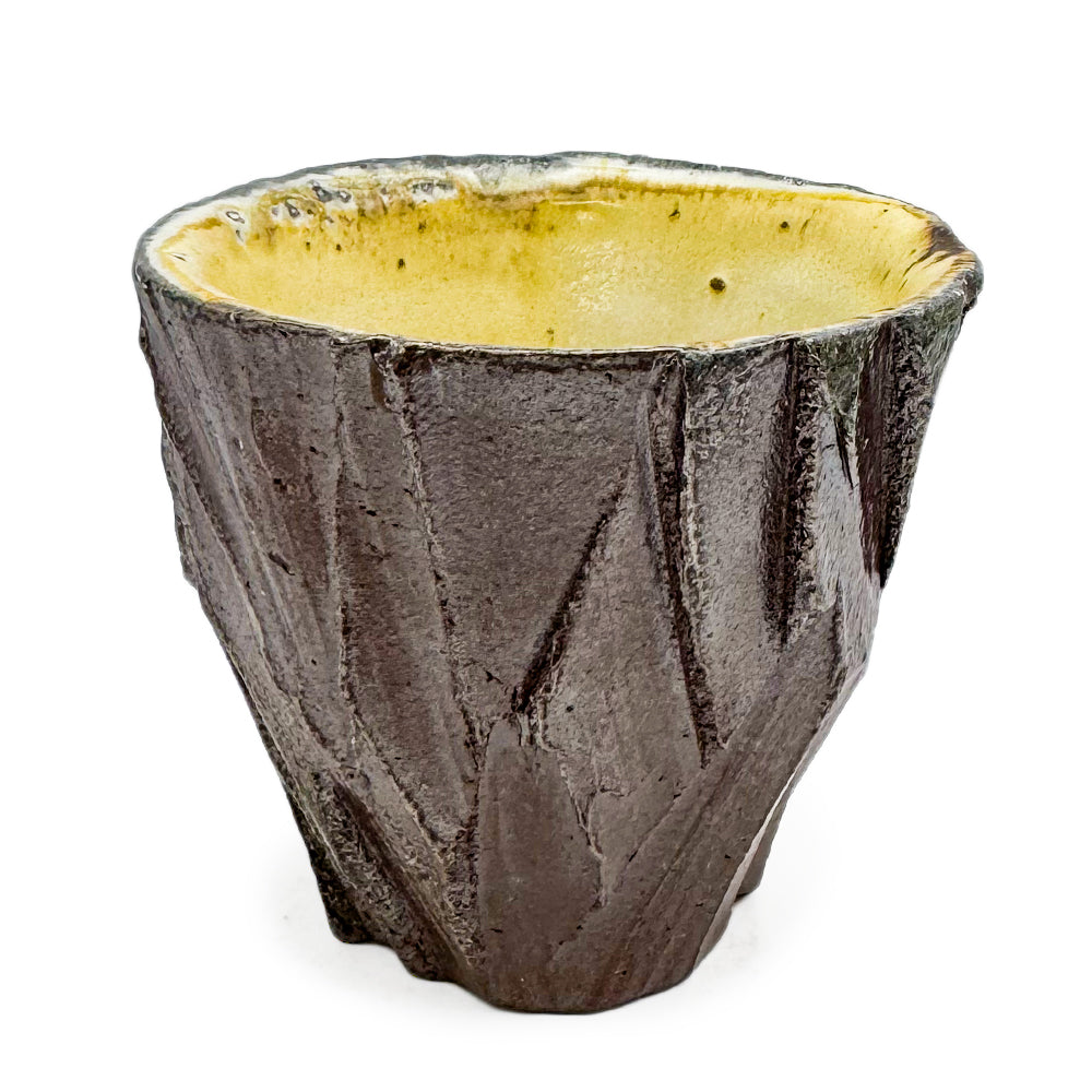 Cup, APF 2025