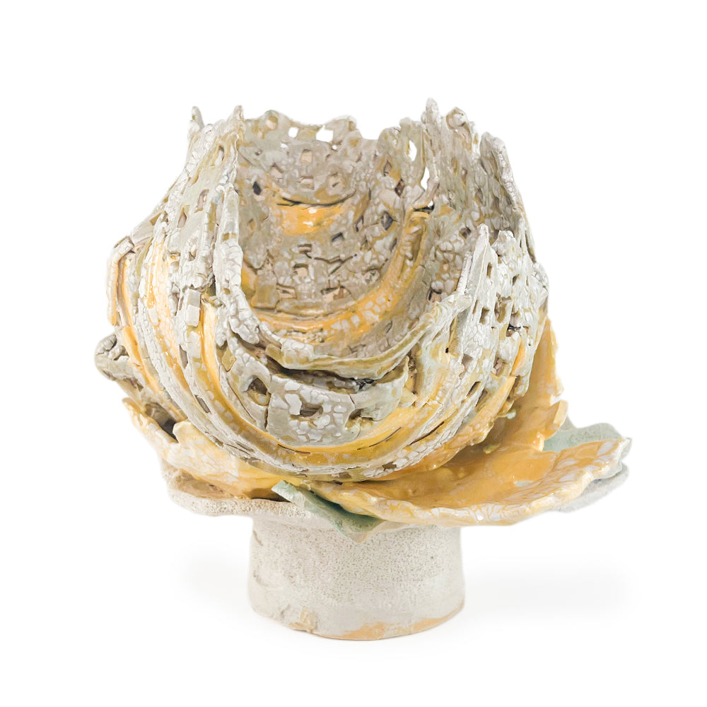 Open Shell