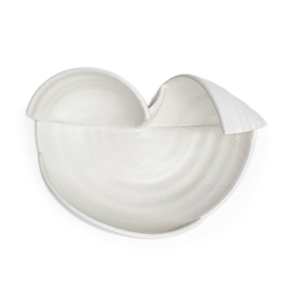 Dish