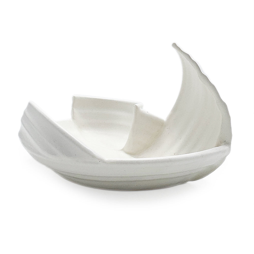 Dish