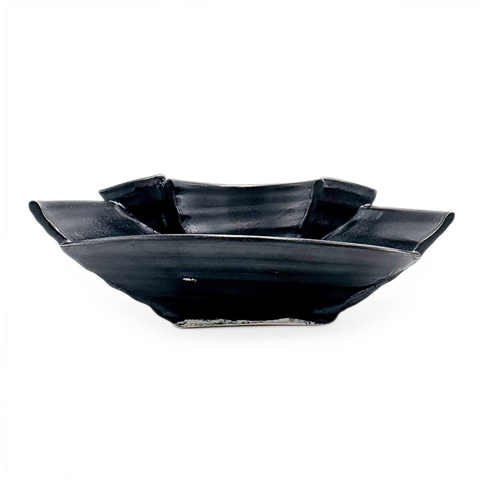 Dish