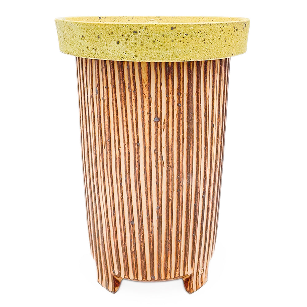 Jar, APF 2026