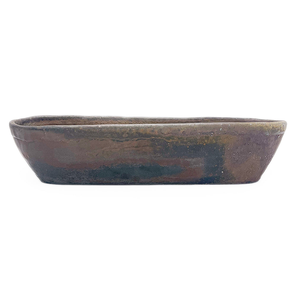 Dish, APF 2026