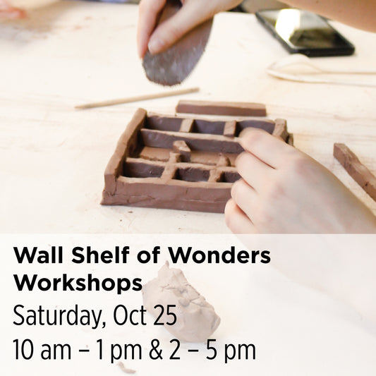 Wall Shelf of Wonders Workshop