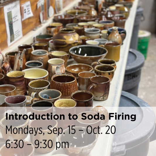 Introduction to Soda Firing, 25FT1