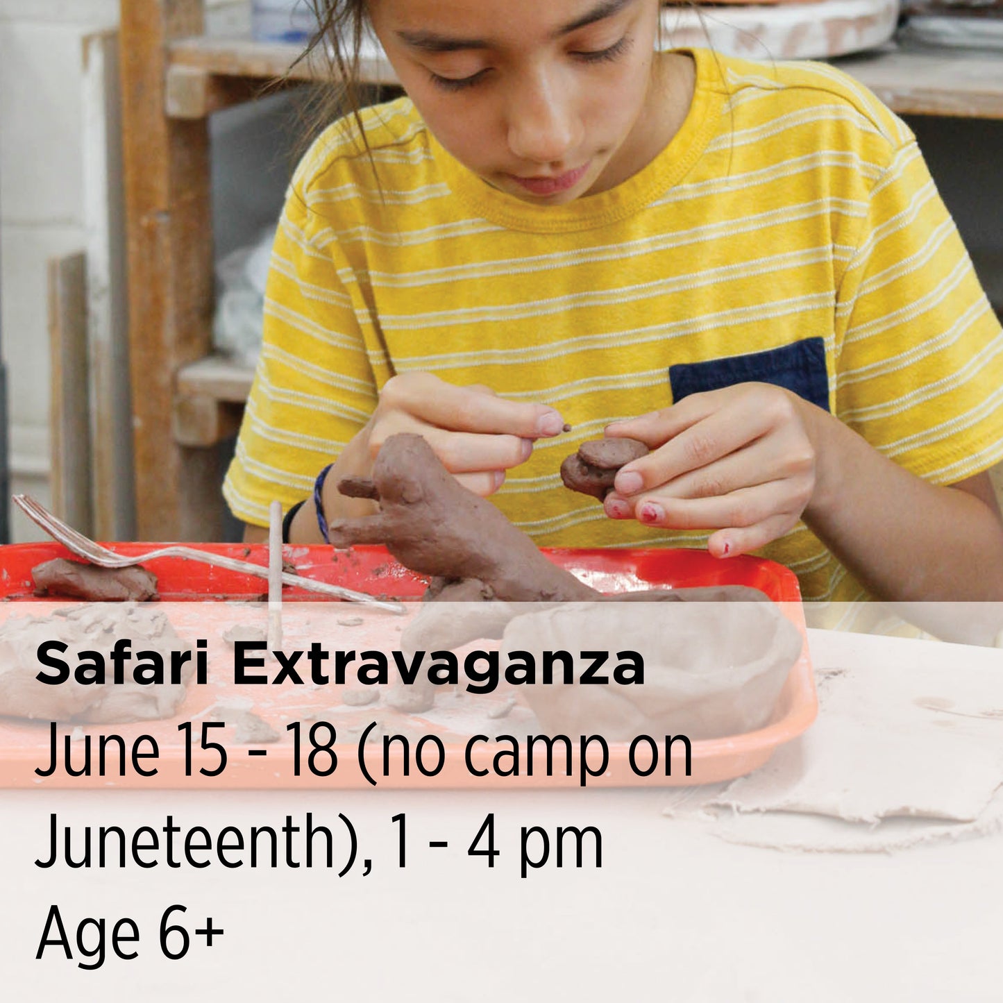 Safari Extravaganza, 26CC11