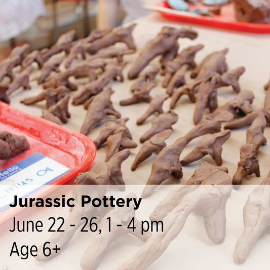 Jurassic Pottery, 26CC17