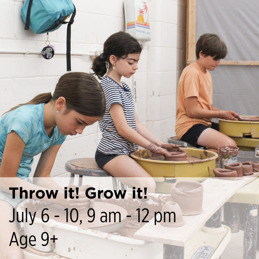 Throw it! Grow it!, 26CC22