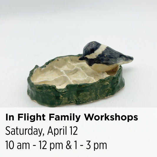 In Flight Family Workshop