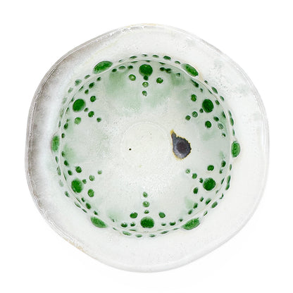 Cup, APF 2026