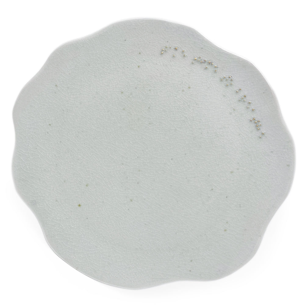 Plate