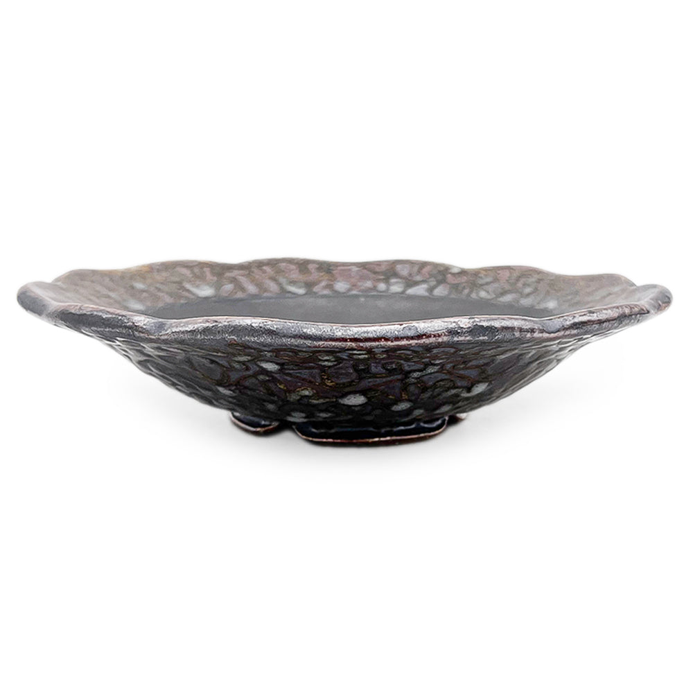 Dish, APF 2025