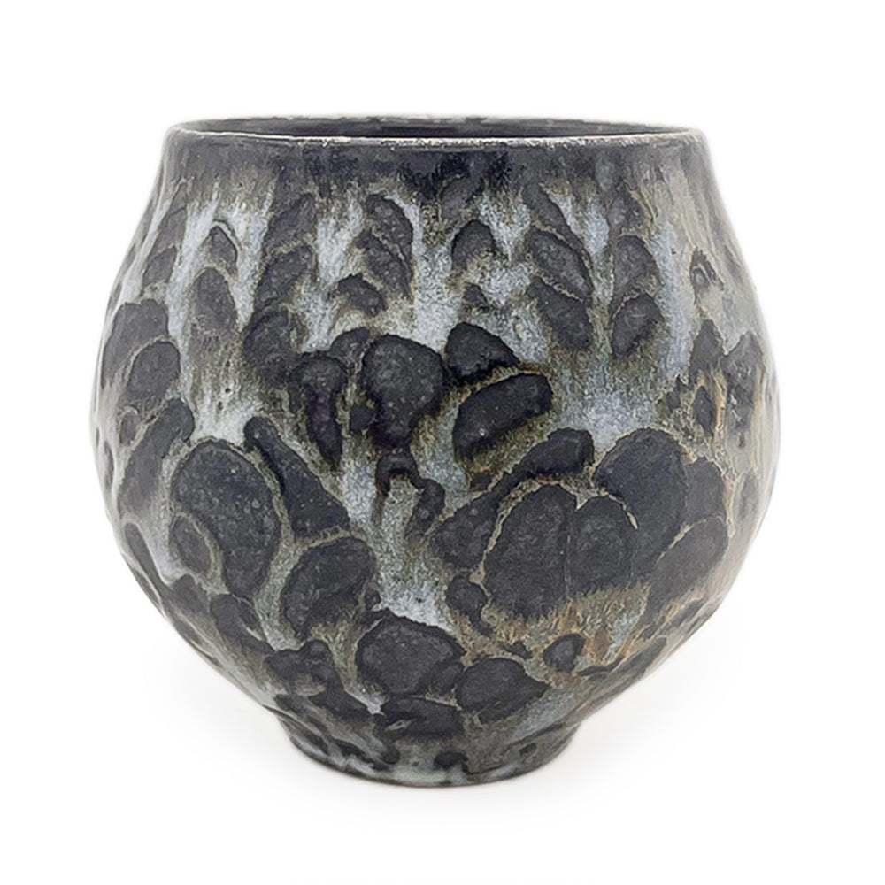 Cup, APF 2025