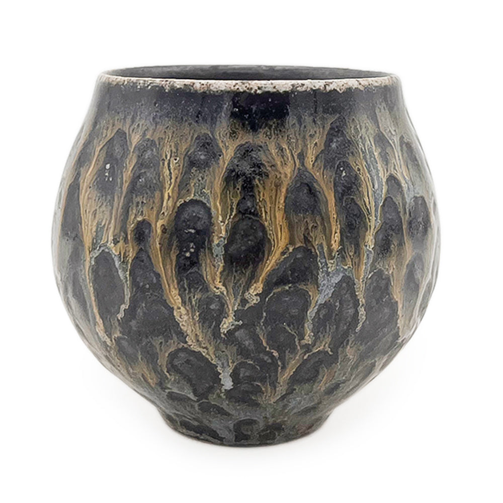 Cup, APF 2025