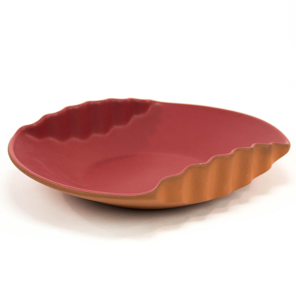 Dish