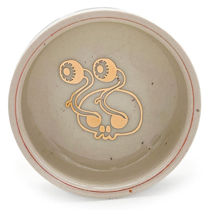 Pet Dish