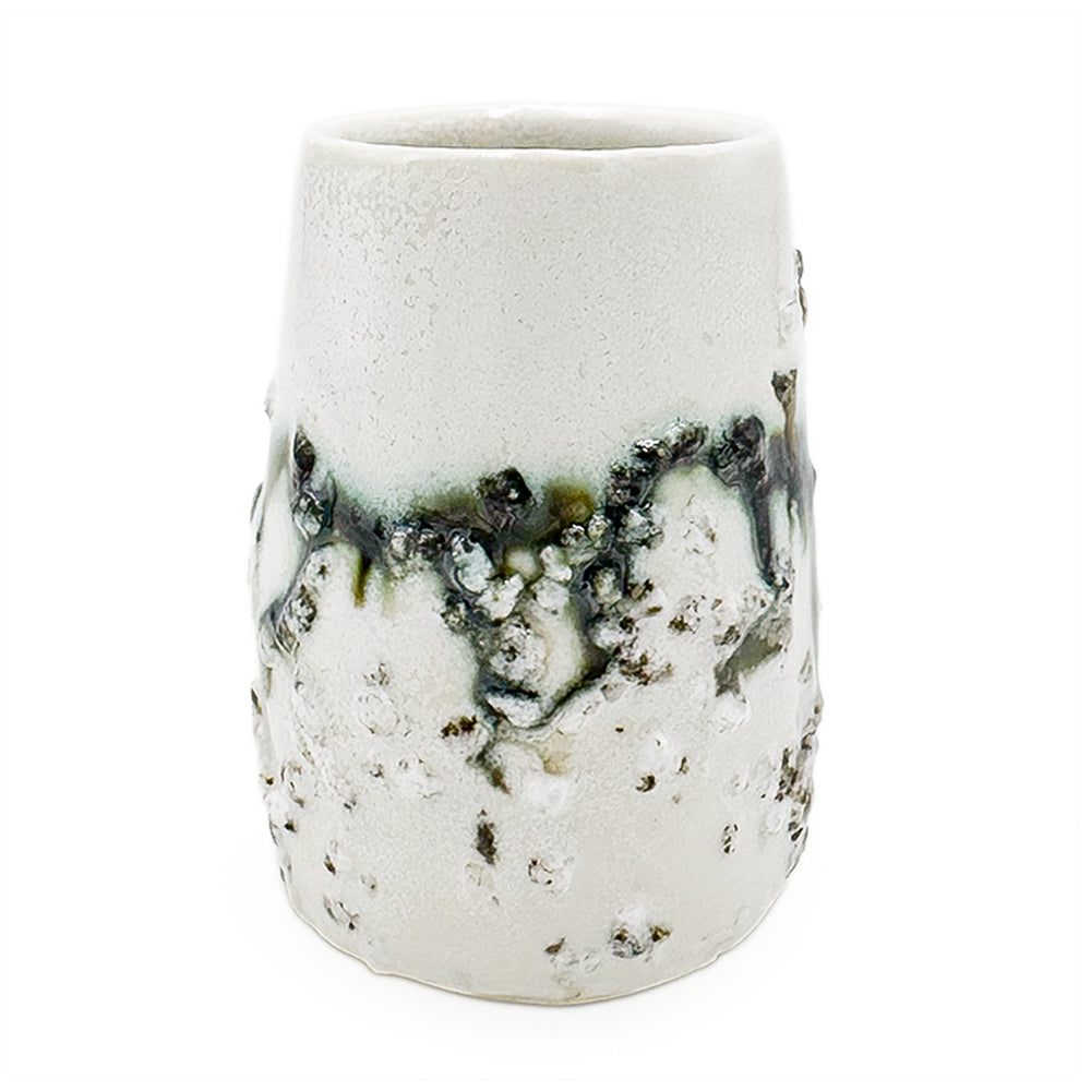 Cup, APF 2026