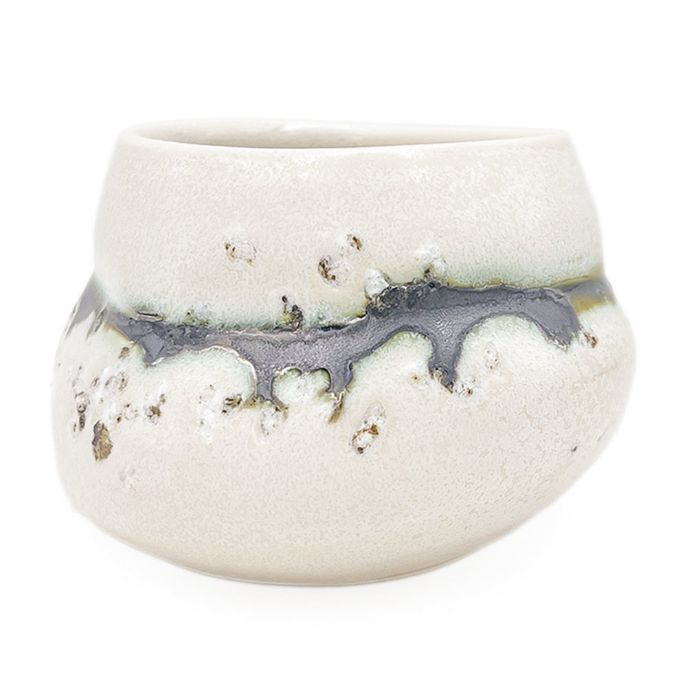 Cup, APF 2026