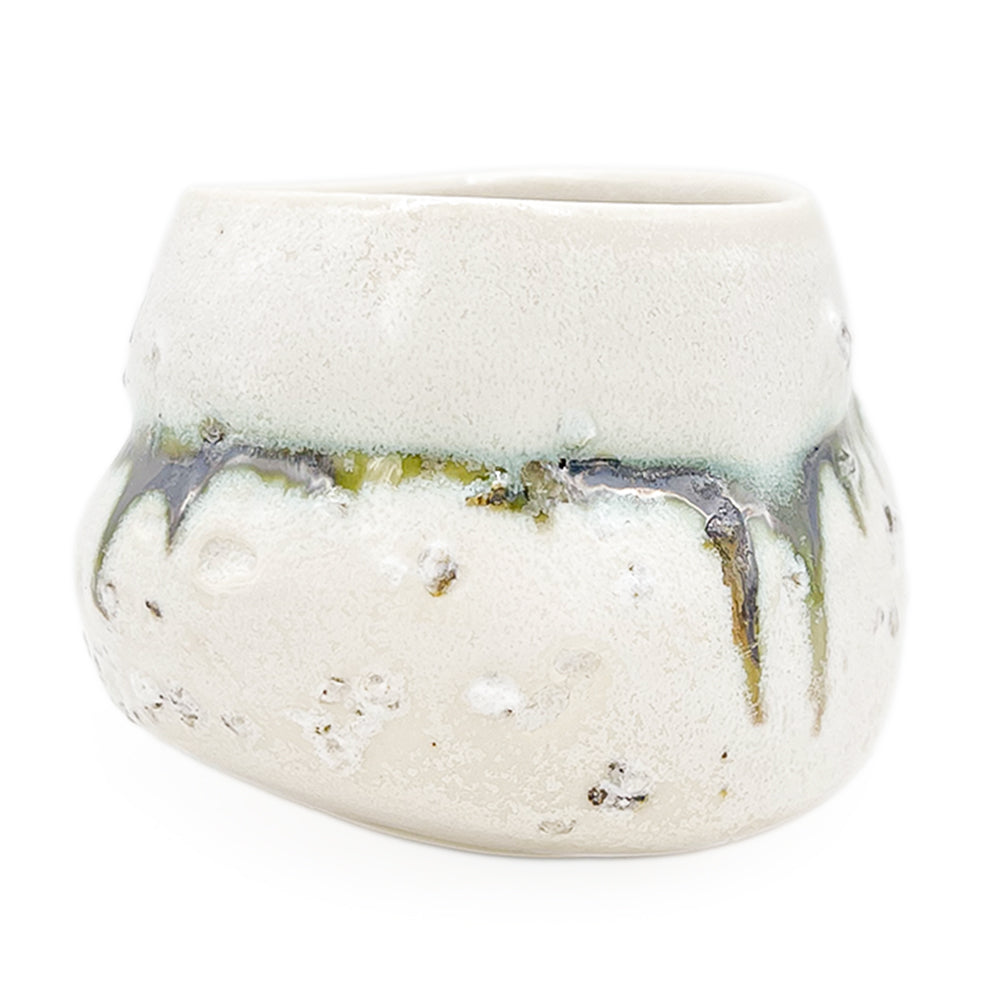 Cup, APF 2026