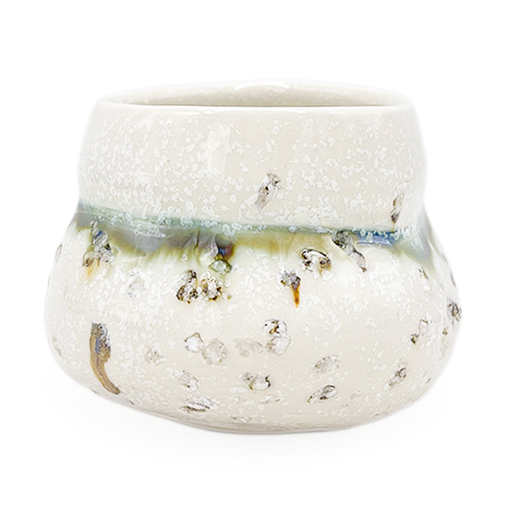 Cup, APF 2026