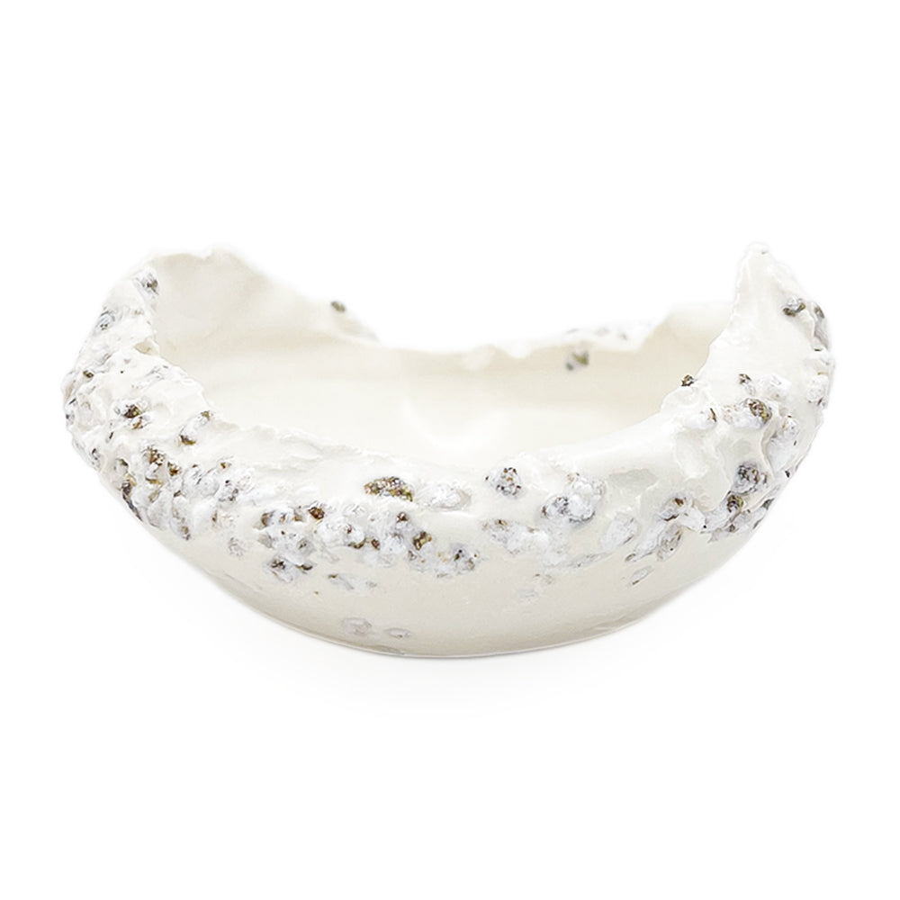 Bowl, APF 2026