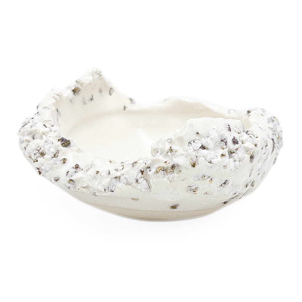 Bowl, APF 2026