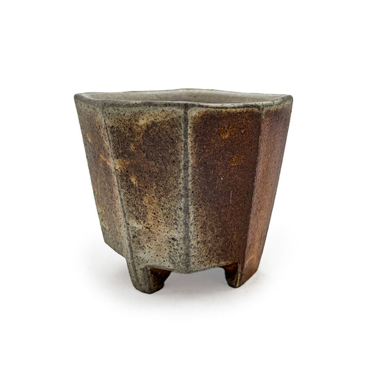 Cup, APF 2025