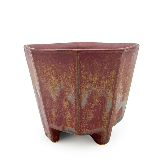 Cup, APF 2025