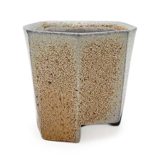 Cup, APF 2025