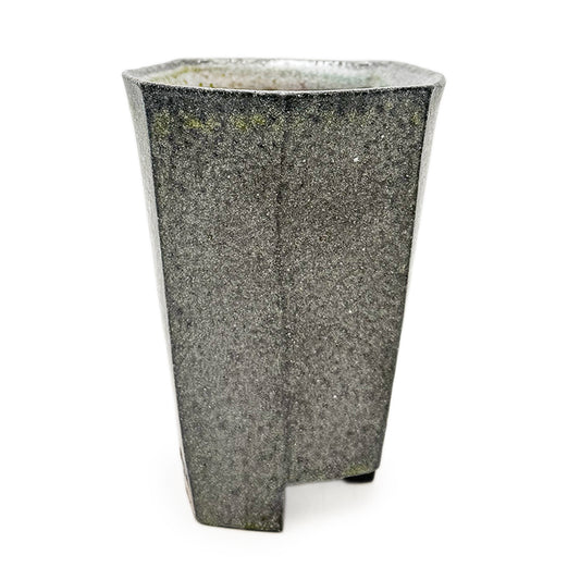 Cup, APF 2025