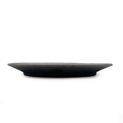Plate, APF 2025