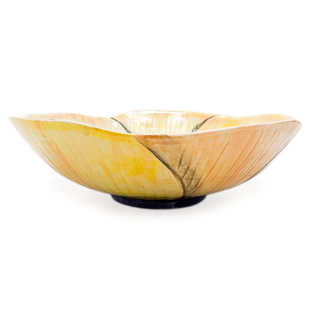 Bowl, APF 2025
