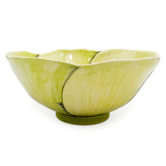 Bowl, APF 2025
