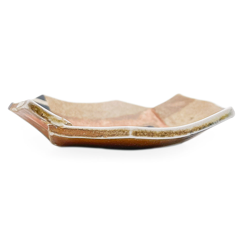 Dish
