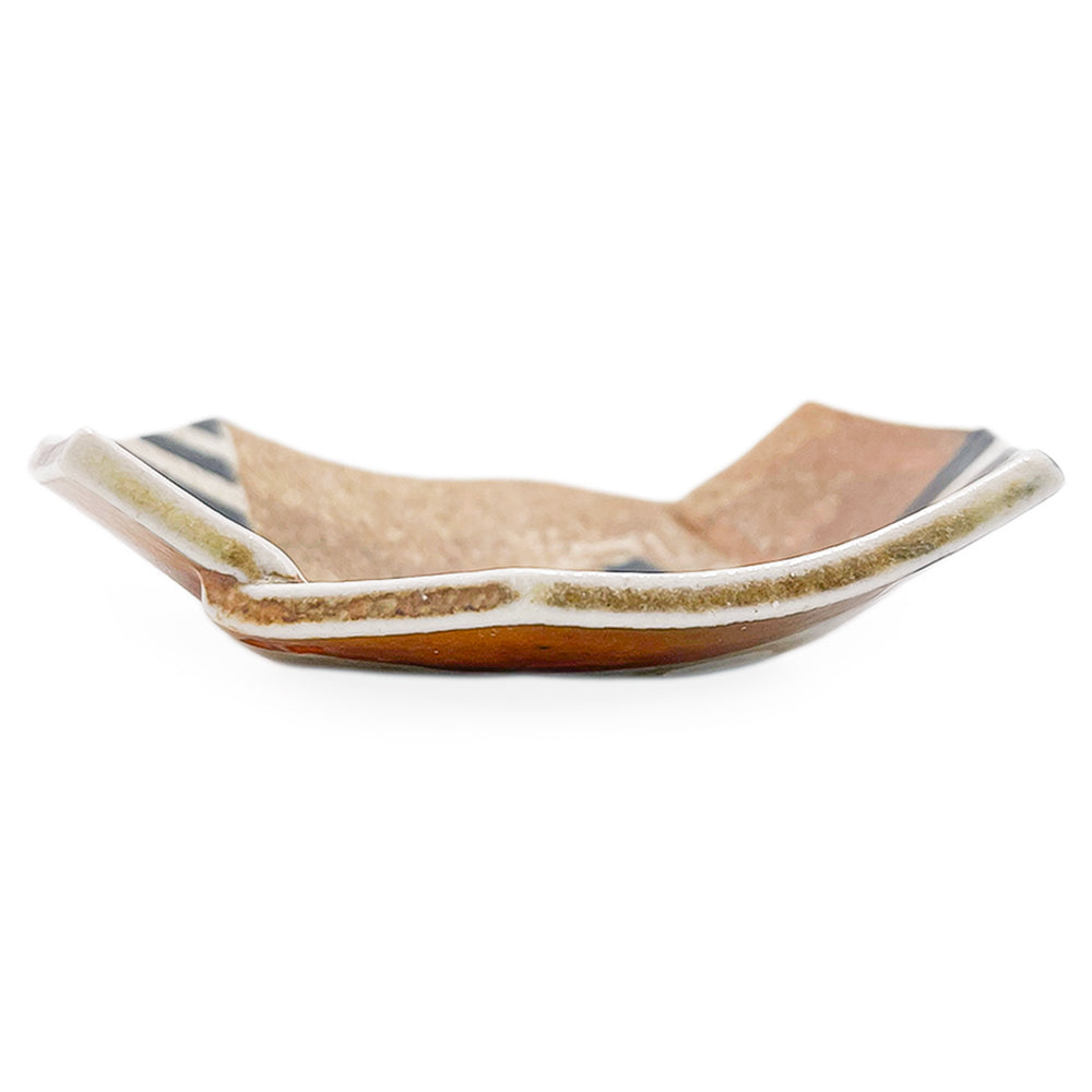 Dish