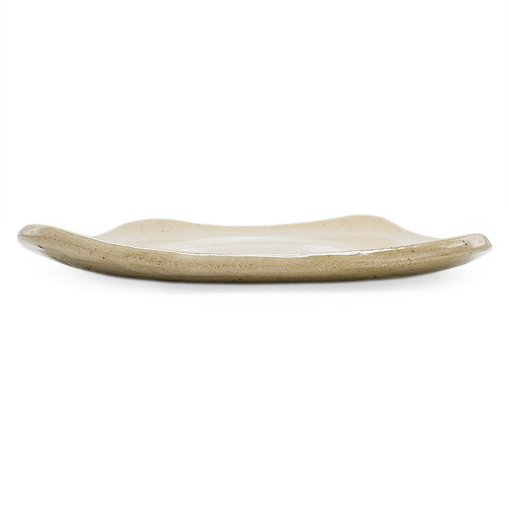 Plate
