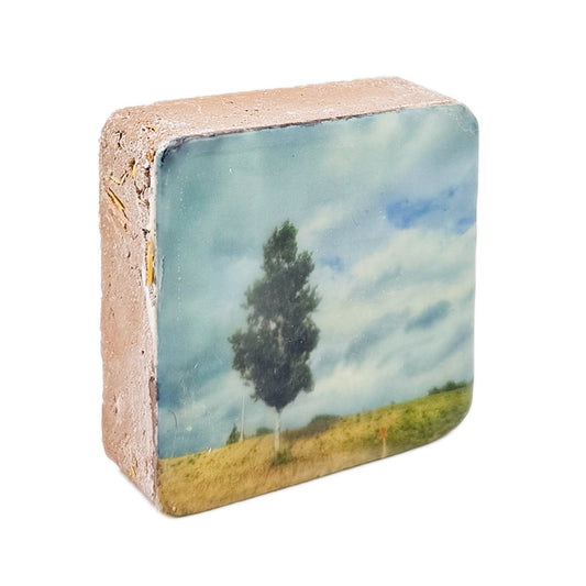 Tile