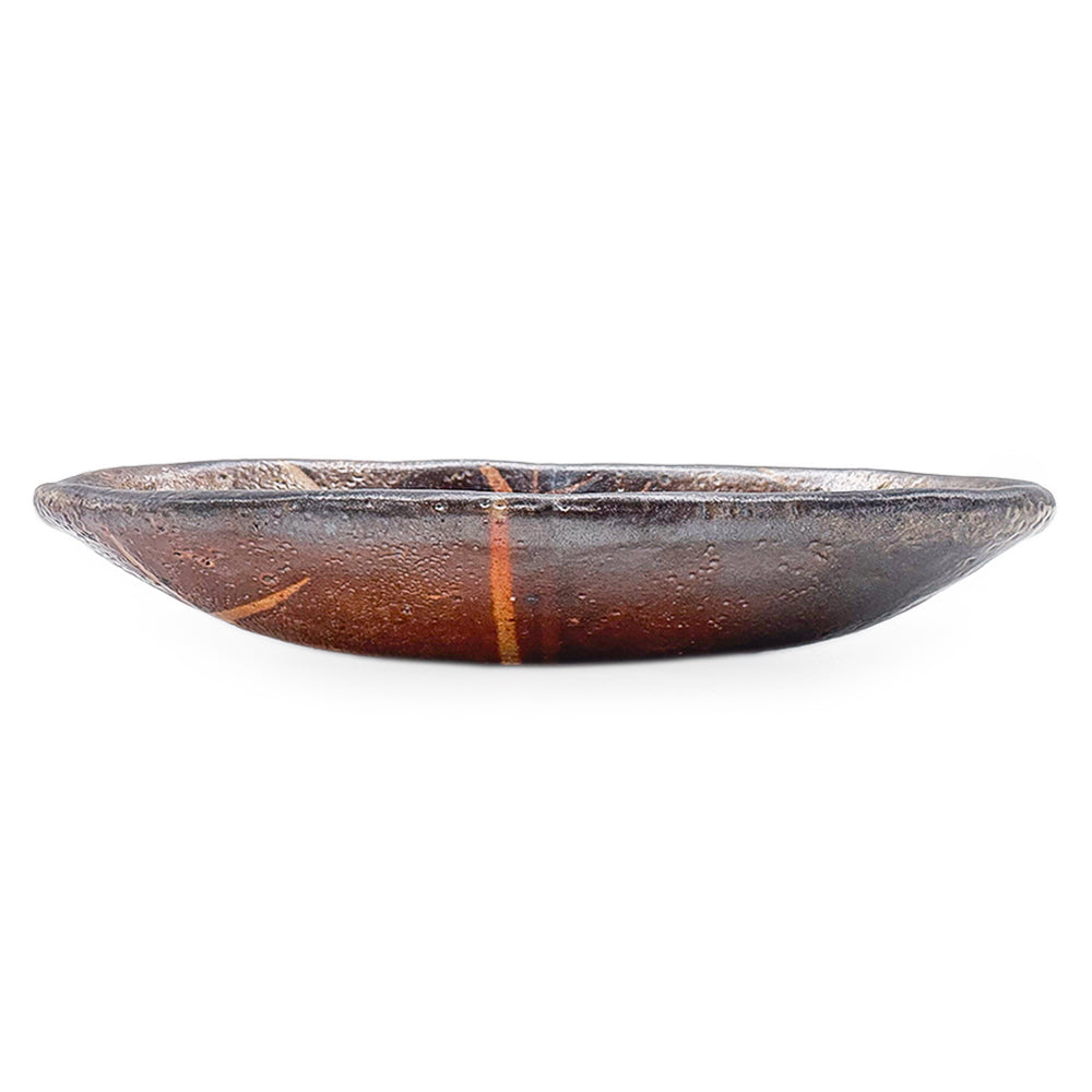 Dish