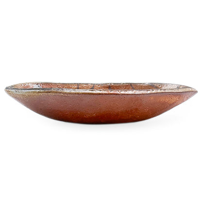 Dish