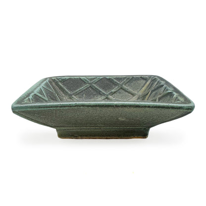 Dish